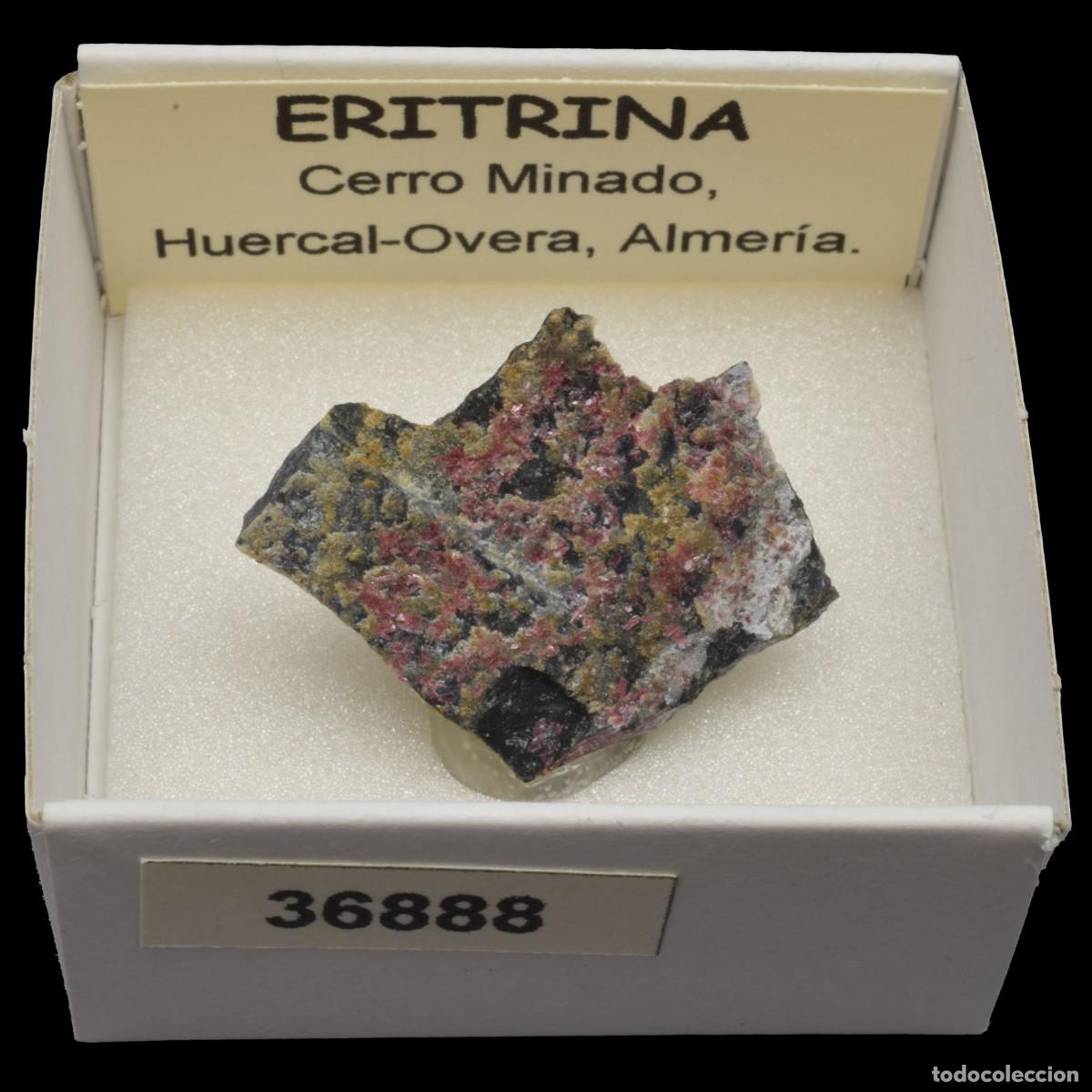 Coleccionismo de minerales: ERITRINA (Cerro Minado, Huercal-Overa, Almeria, Espa&ntilde;a) #36888