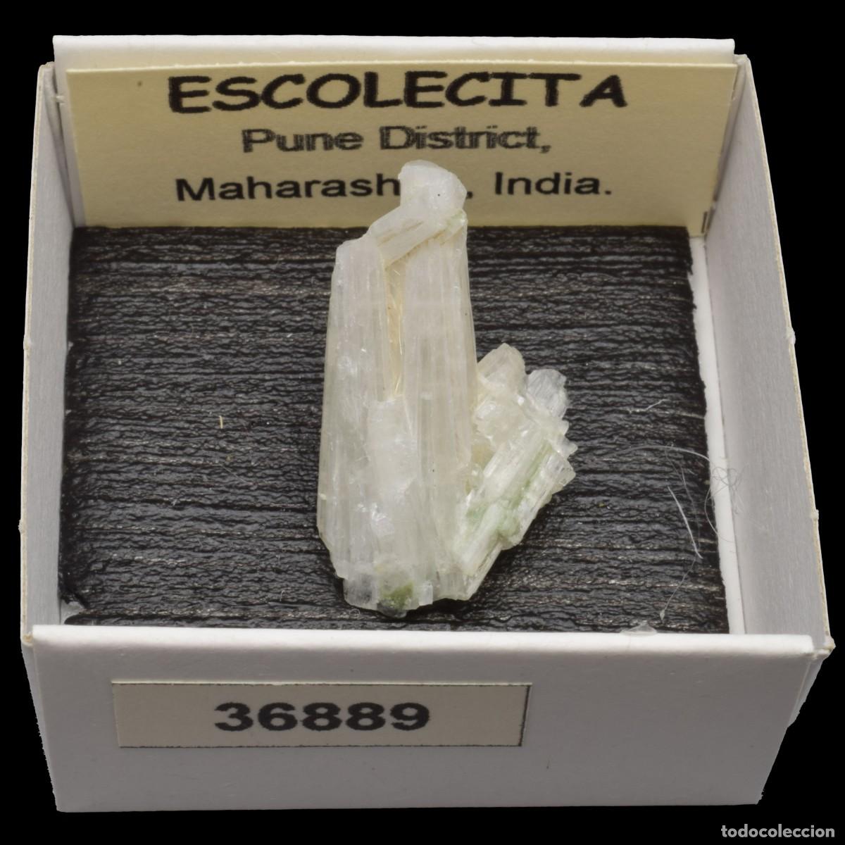 Coleccionismo de minerales: ESCOLECITA (Pune district, Maharashtra, India) #36889