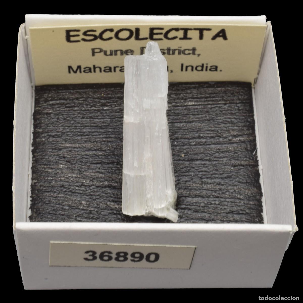 Coleccionismo de minerales: ESCOLECITA (Pune district, Maharashtra, India) #36890