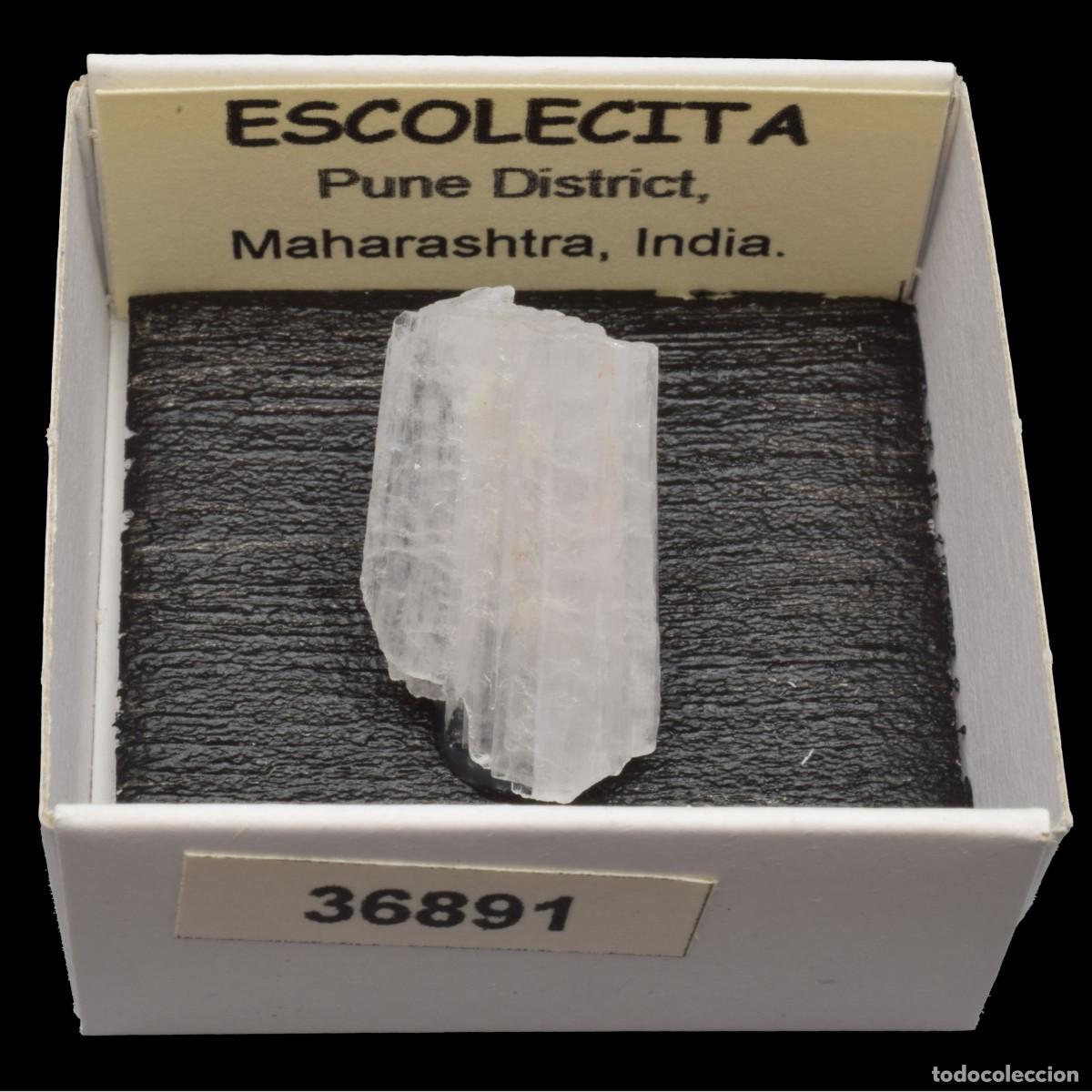 Coleccionismo de minerales: ESCOLECITA (Pune district, Maharashtra, India) #36891