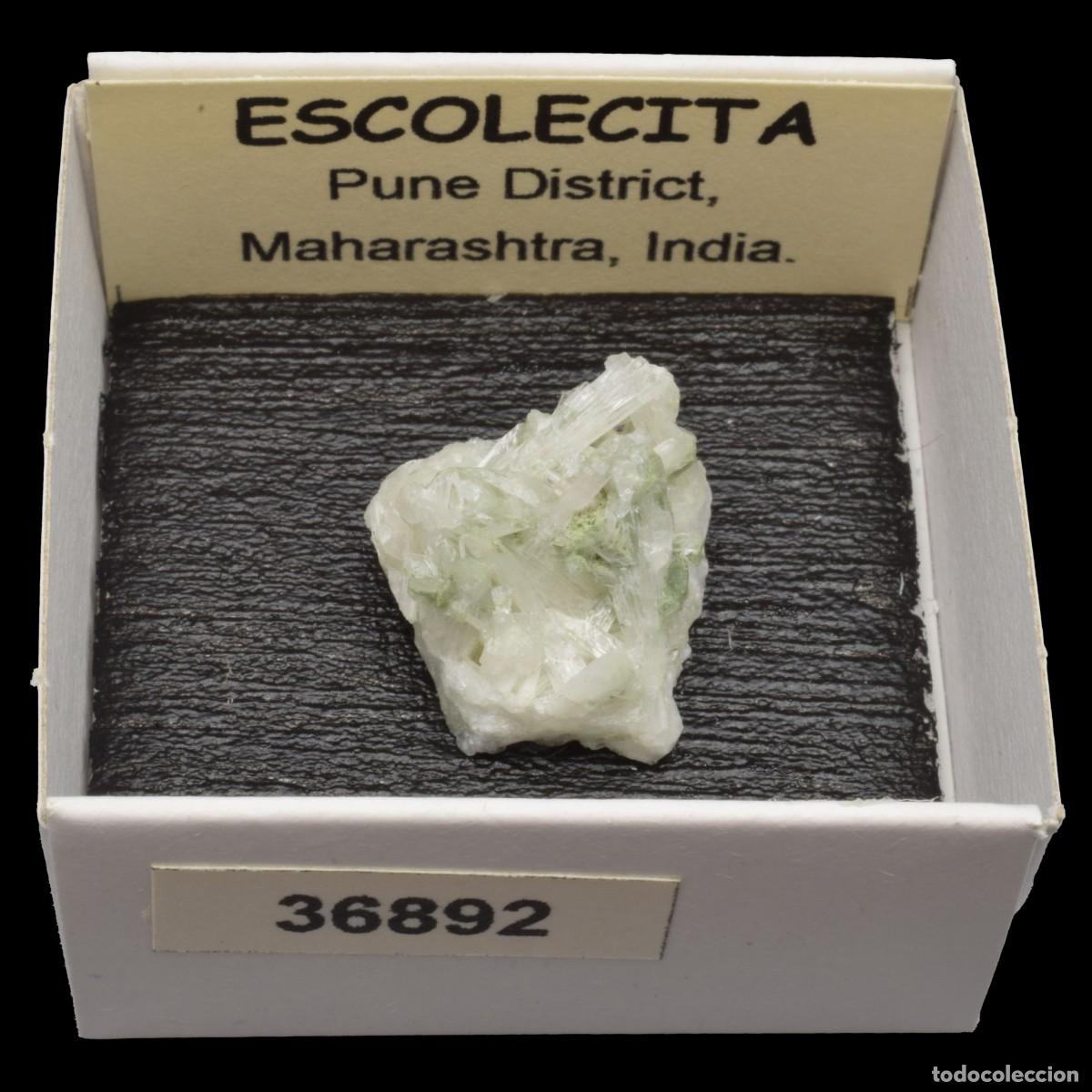 Coleccionismo de minerales: ESCOLECITA (Pune district, Maharashtra, India) #36892
