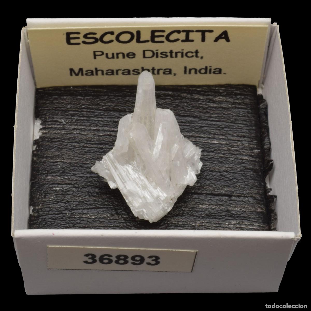 Coleccionismo de minerales: ESCOLECITA (Pune district, Maharashtra, India) #36893