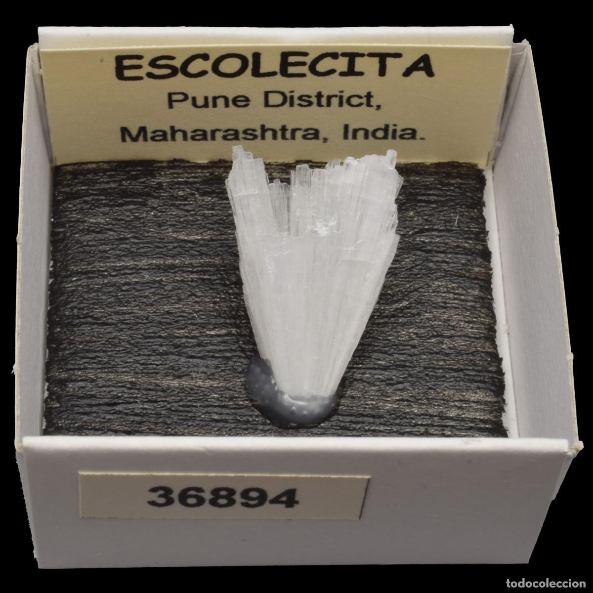 Coleccionismo de minerales: ESCOLECITA (Pune district, Maharashtra, India) #36894
