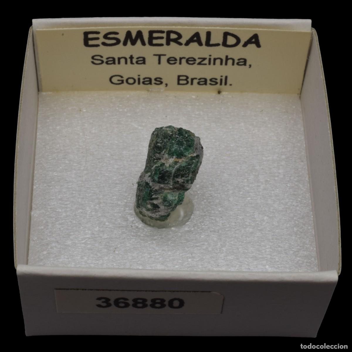 Collectionnisme de min&eacute;raux: ESMERALDA (Santa Terezinha, Goias, Brasil) #36880