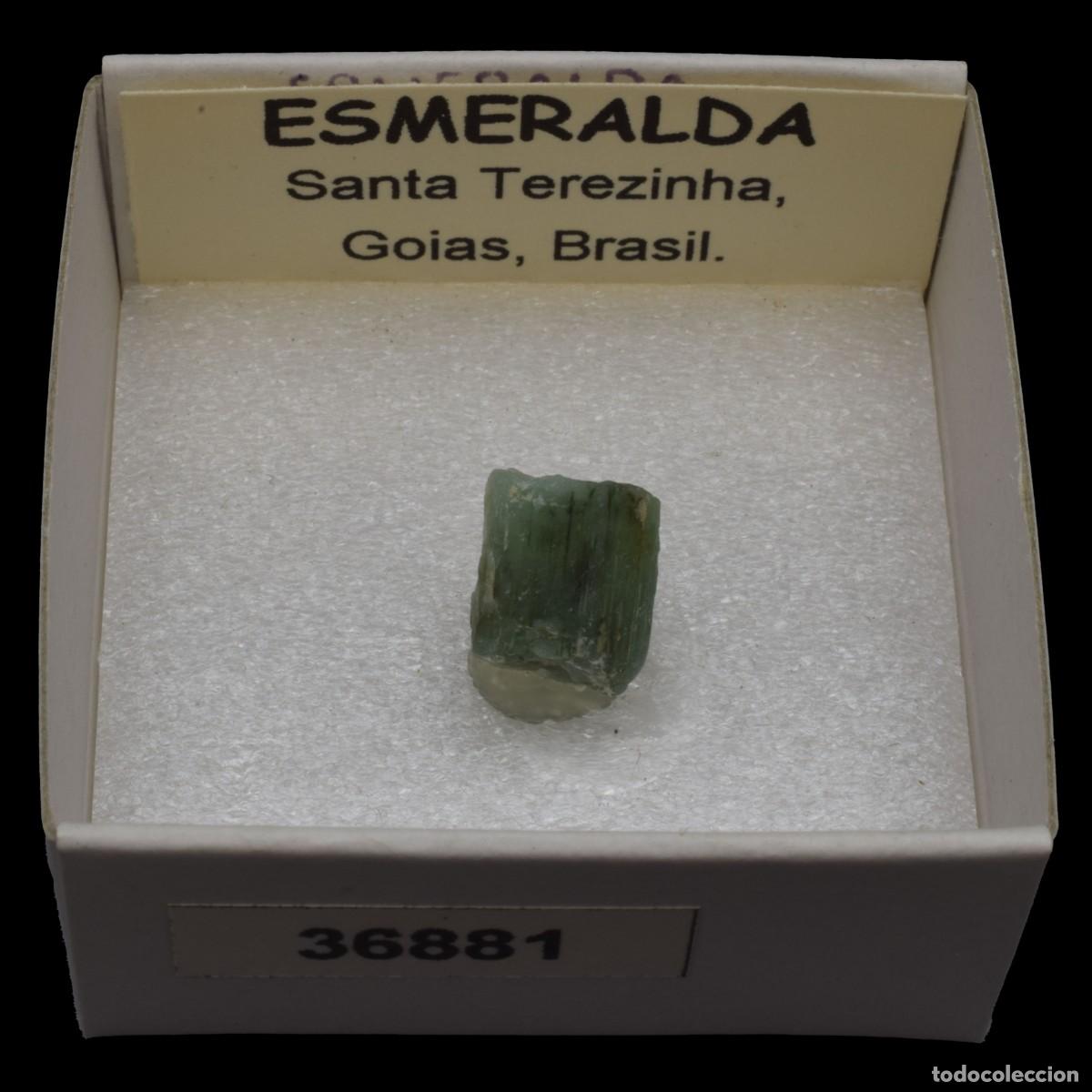 Collectionnisme de min&eacute;raux: ESMERALDA (Santa Terezinha, Goias, Brasil) #36881