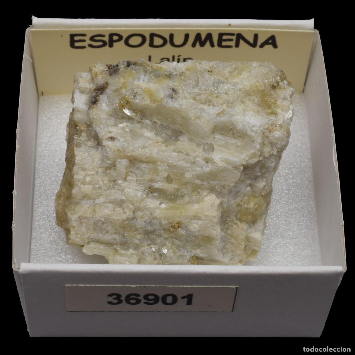 Coleccionismo de minerales: ESPODUMENA (Lalin, Pontevedra, Espa&ntilde;a) #36901
