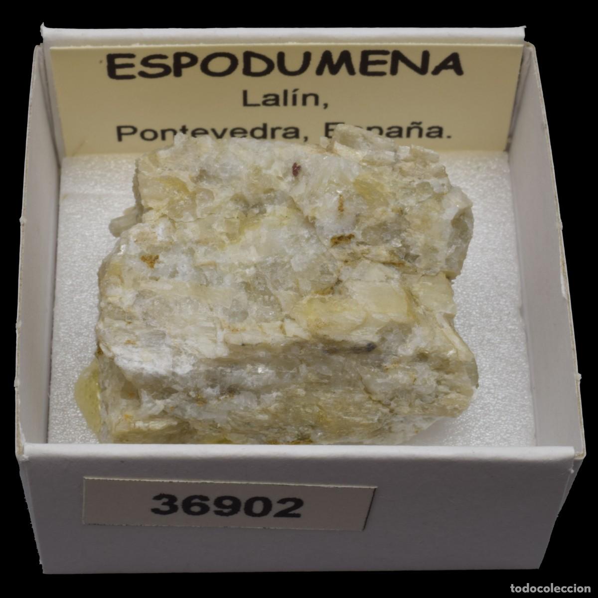 Coleccionismo de minerales: ESPODUMENA (Lalin, Pontevedra, Espa&ntilde;a) #36902