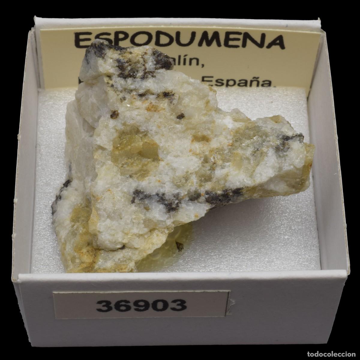 Coleccionismo de minerales: ESPODUMENA (Lalin, Pontevedra, Espa&ntilde;a) #36903