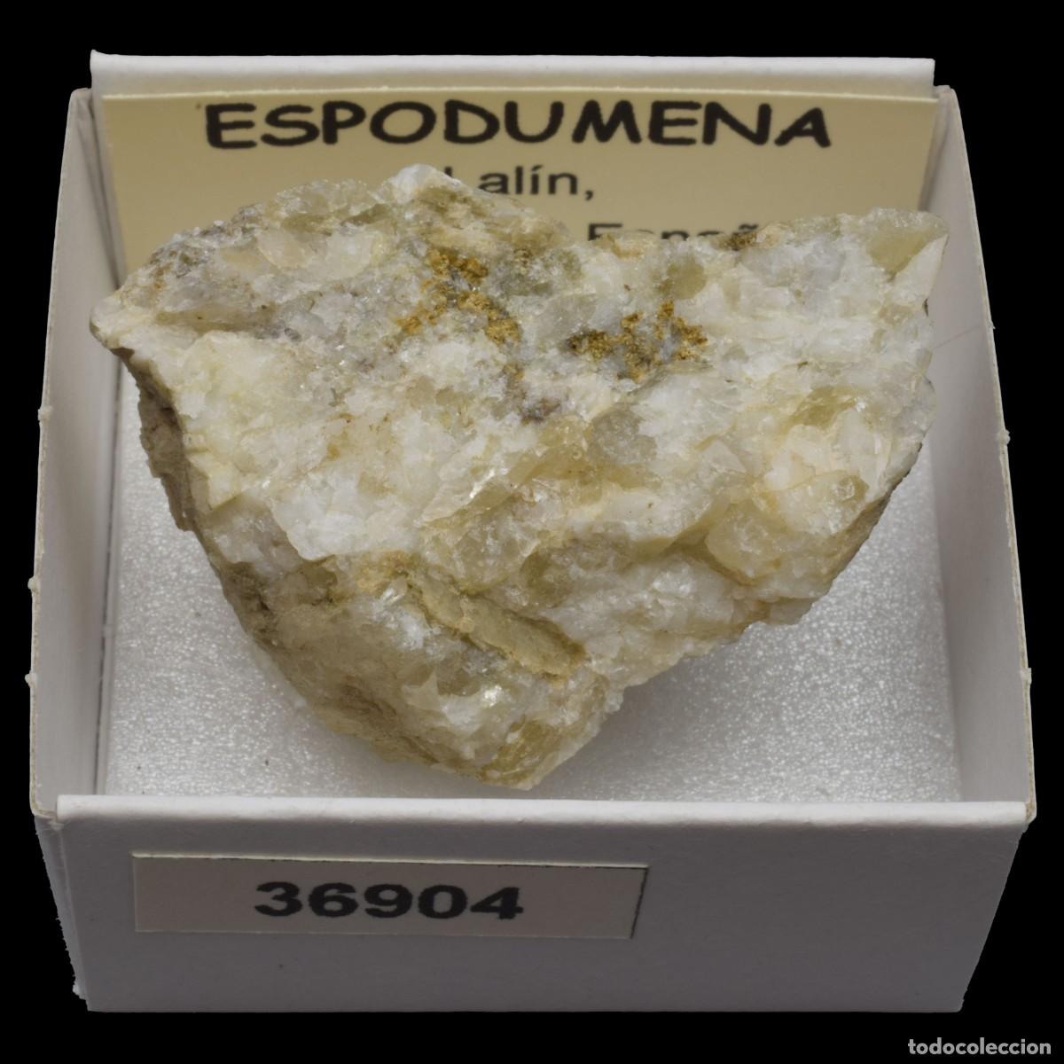 Colecionismo de minerais: ESPODUMENA (Lalin, Pontevedra, Espa&ntilde;a) #36904
