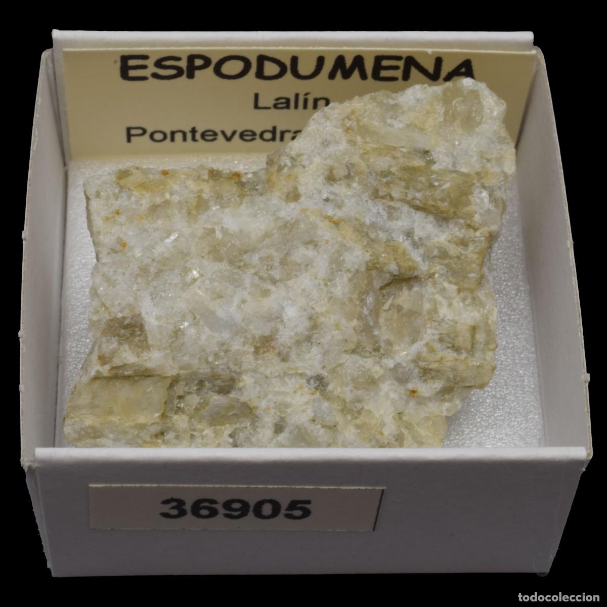 Coleccionismo de minerales: ESPODUMENA (Lalin, Pontevedra, Espa&ntilde;a) #36905