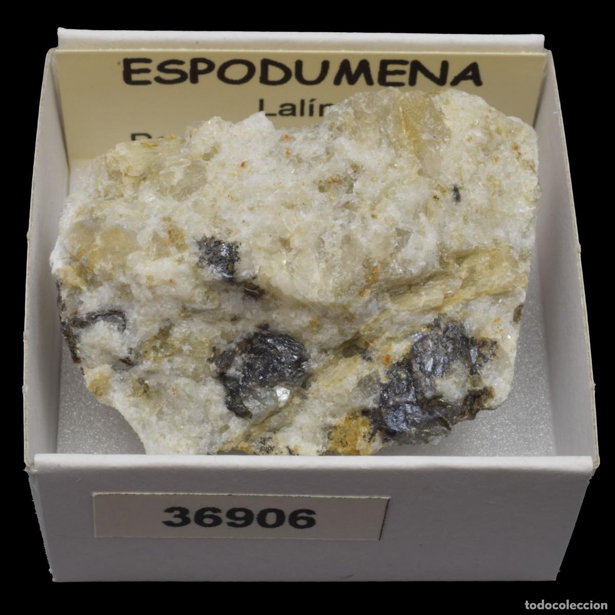 Coleccionismo de minerales: ESPODUMENA (Lalin, Pontevedra, Espa&ntilde;a) #36906