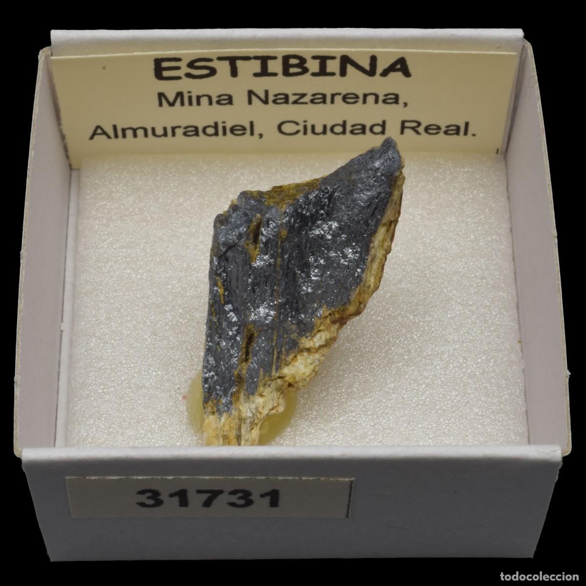 Coleccionismo de minerales: ESTIBINA (Mina Nazarena, Almuradiel, Ciudad Real, Espa&ntilde;a) #31731