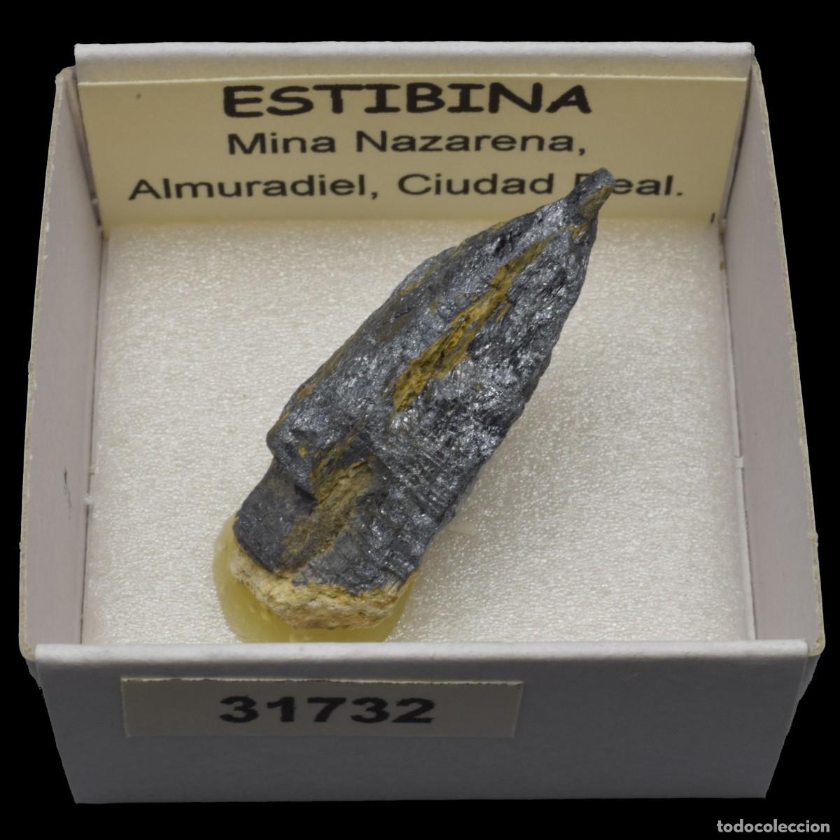 Coleccionismo de minerales: ESTIBINA (Mina Nazarena, Almuradiel, Ciudad Real, Espa&ntilde;a) #31732