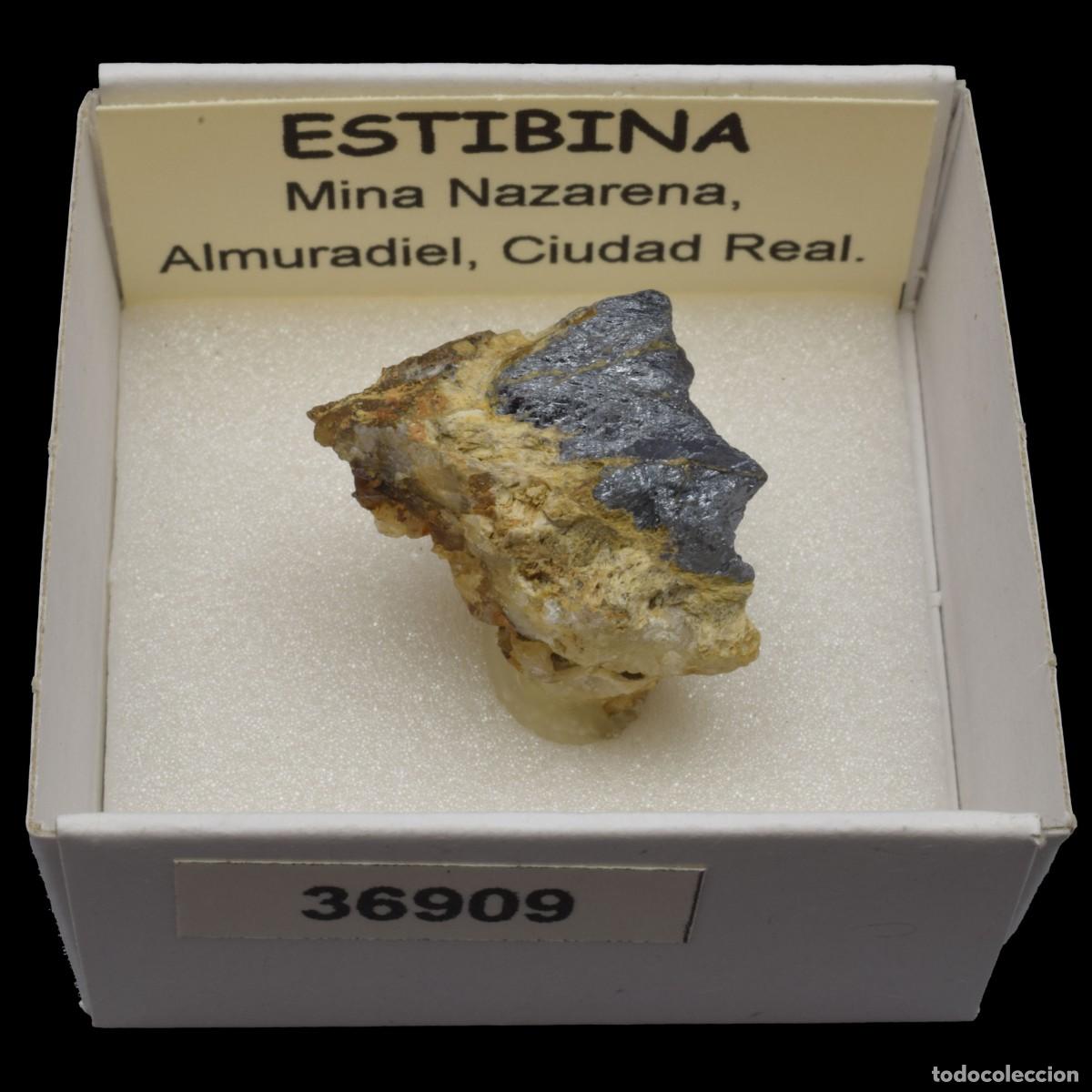 Collezionismo di minerali: ESTIBINA (Mina Nazarena, Almuradiel, Ciudad Real, Espa&ntilde;a) #36909