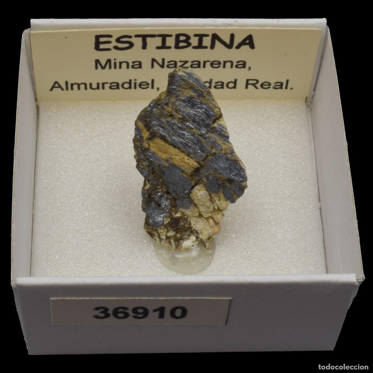 Collezionismo di minerali: ESTIBINA (Mina Nazarena, Almuradiel, Ciudad Real, Espa&ntilde;a) #36910