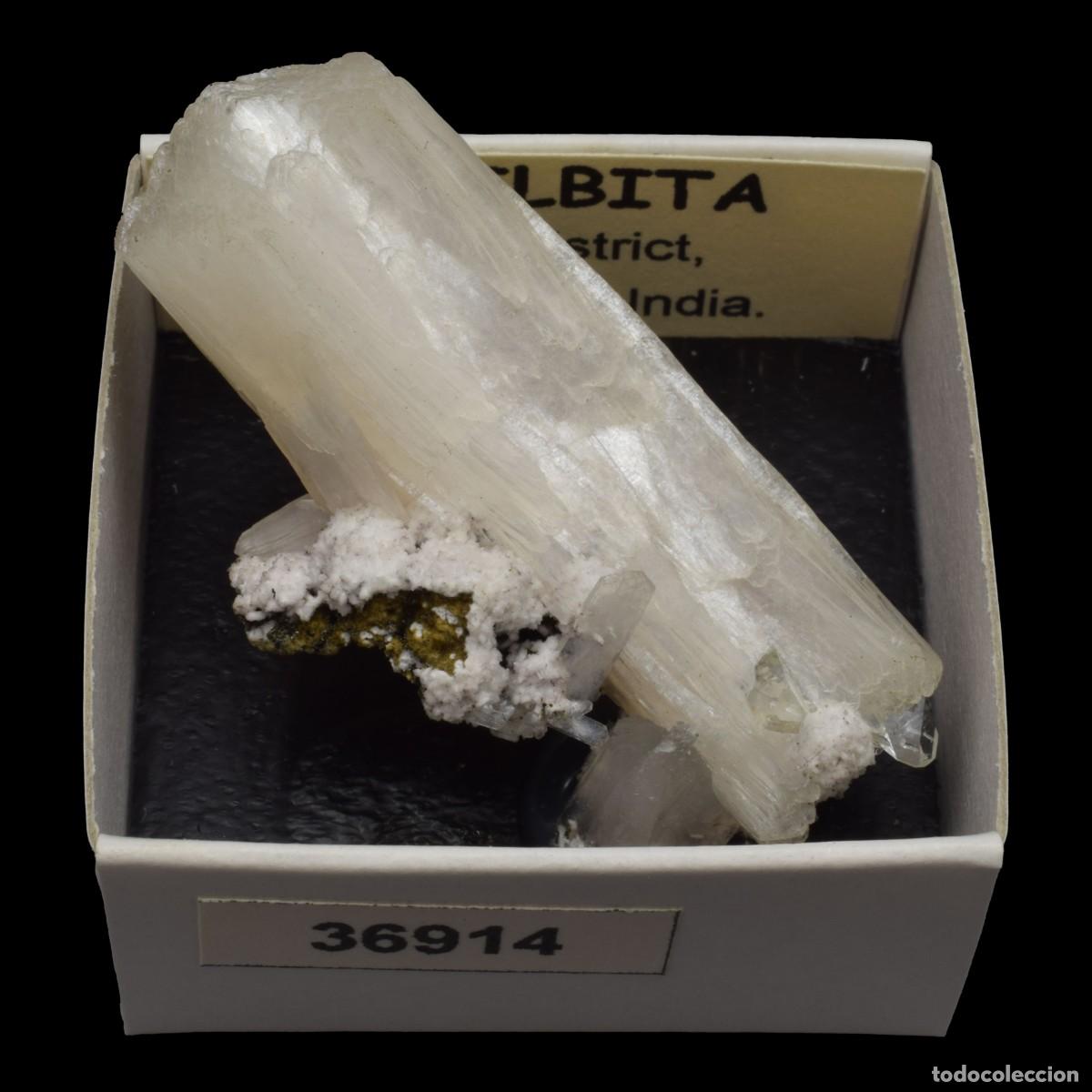 Collezionismo di minerali: ESTILBITA Blanca (Pune district, Maharashtra, India) #36914