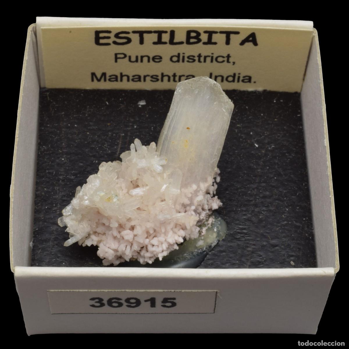 Mineral collecting: ESTILBITA Blanca (Pune district, Maharashtra, India) #36915