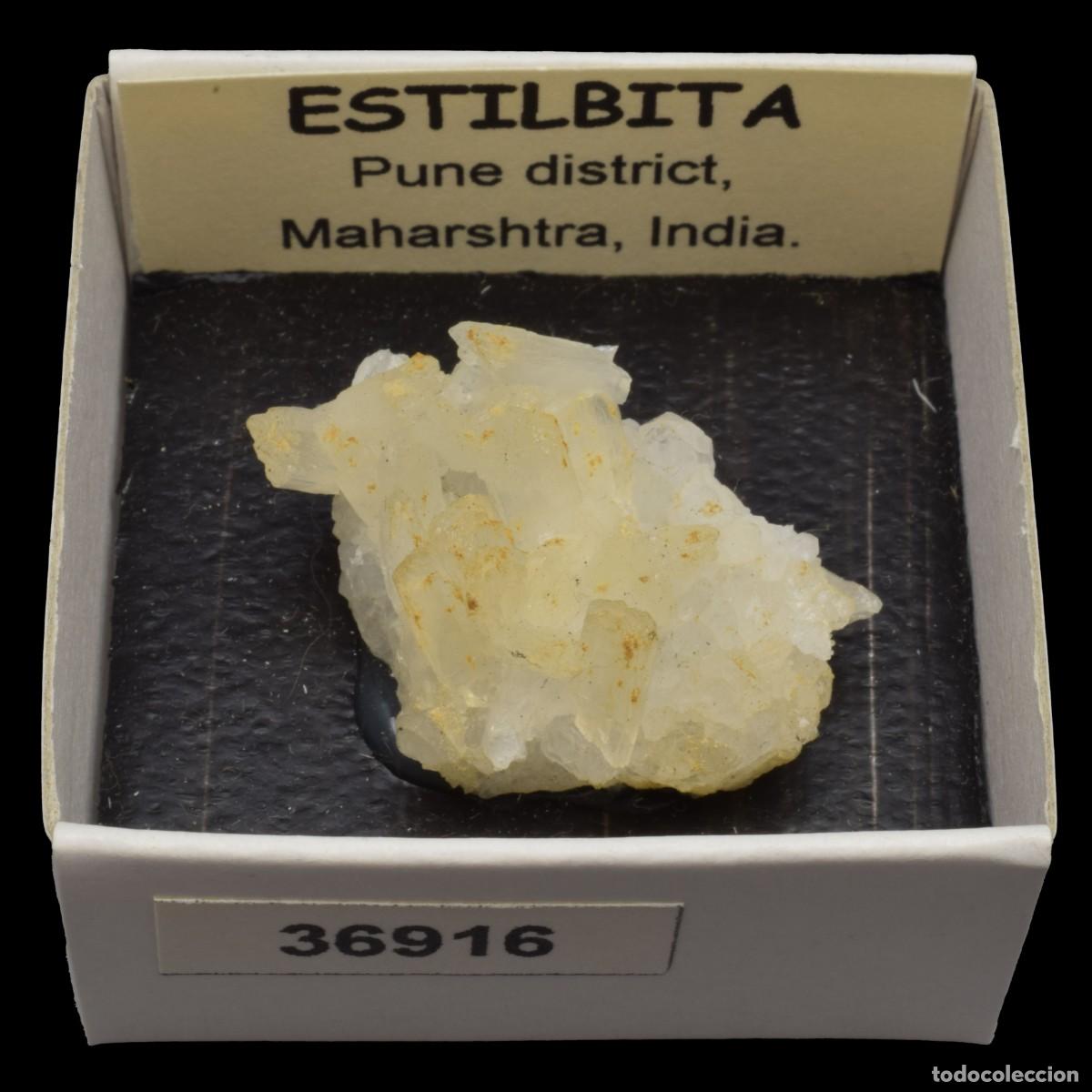 Mineral collecting: ESTILBITA Blanca (Pune district, Maharashtra, India) #36916
