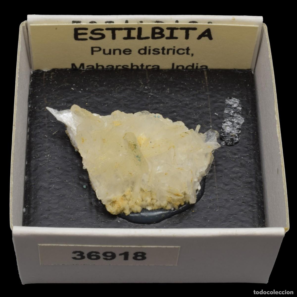 Mineral collecting: ESTILBITA Blanca (Pune district, Maharashtra, India) #36918