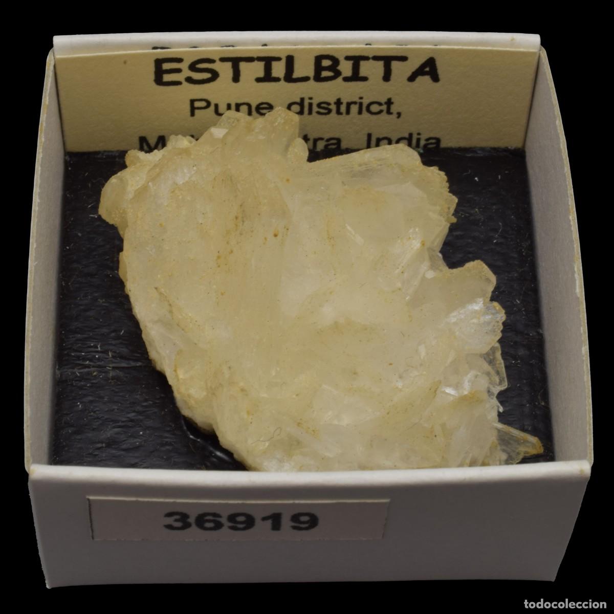 Mineral collecting: ESTILBITA Blanca (Pune district, Maharashtra, India) #36919
