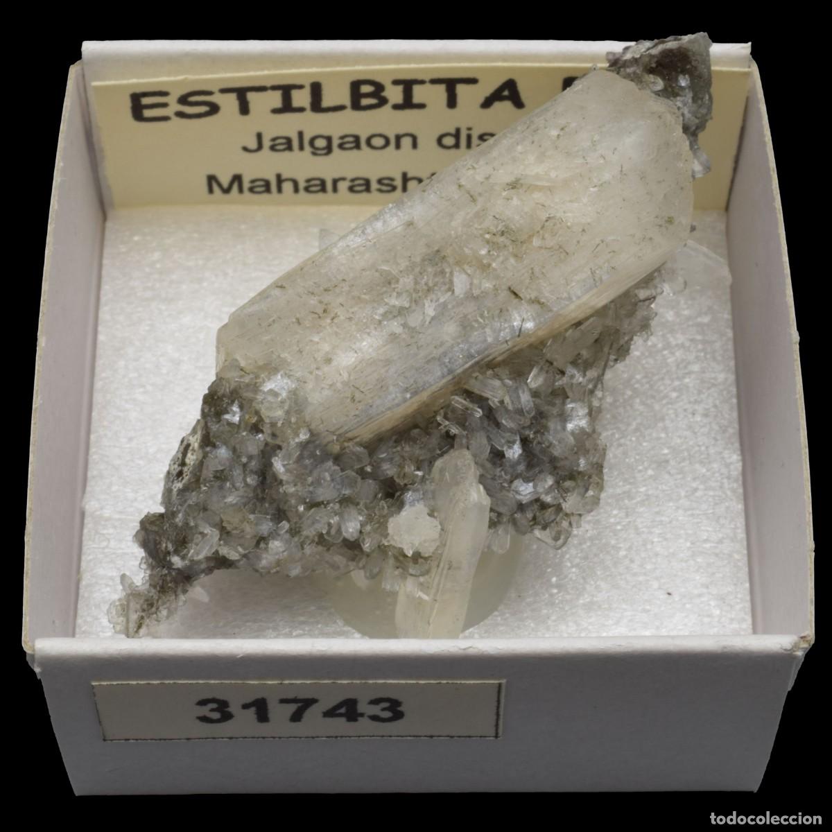 Mineral collecting: ESTILBITA Rosa (Jalgaon district, Maharashtra, India) #31743