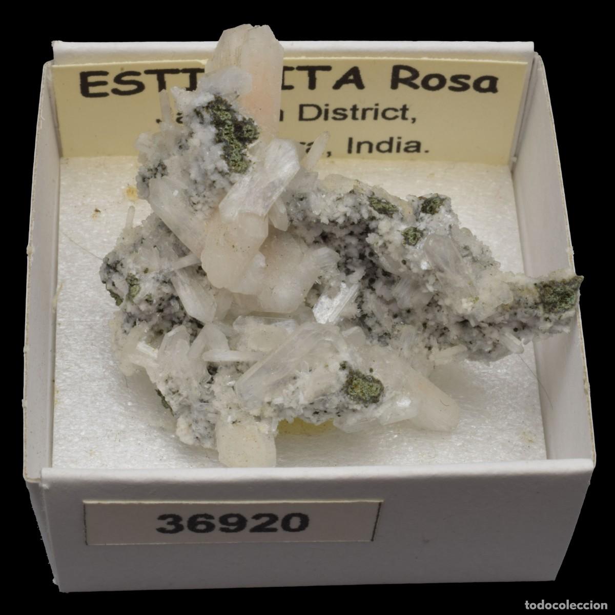 Mineral collecting: ESTILBITA Rosa (Jalgaon district, Maharashtra, India) #36920