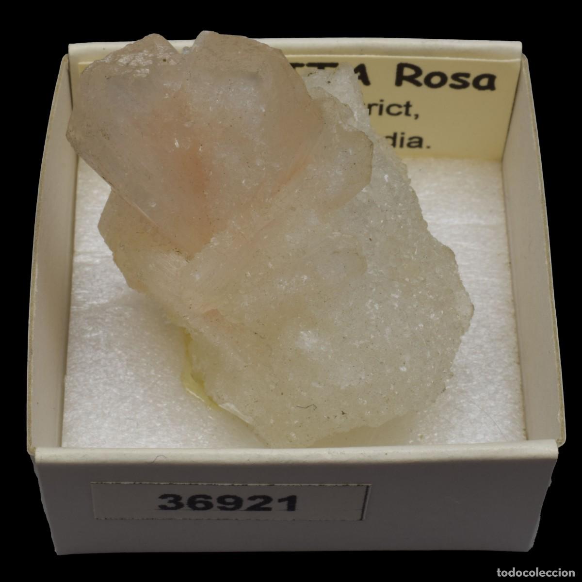 Mineral collecting: ESTILBITA Rosa (Jalgaon district, Maharashtra, India) #36921