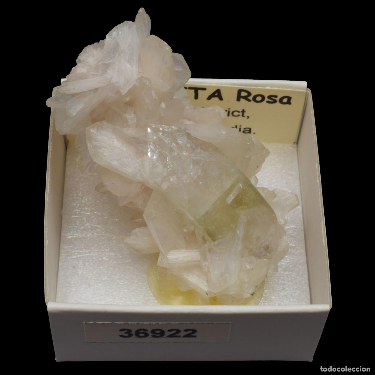 Coleccionismo de minerales: ESTILBITA Rosa (Jalgaon district, Maharashtra, India) #36922
