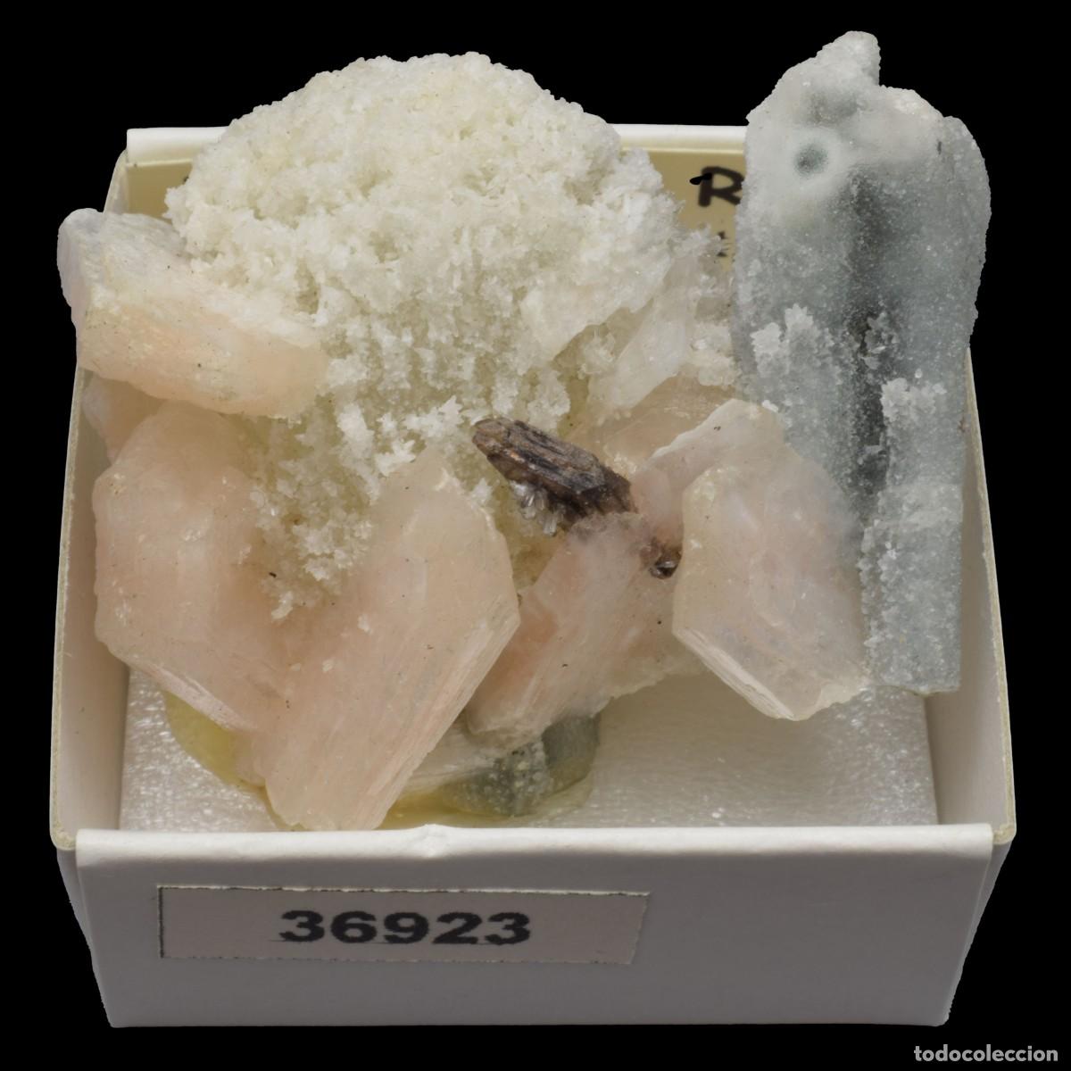 Coleccionismo de minerales: ESTILBITA Rosa (Jalgaon district, Maharashtra, India) #36922