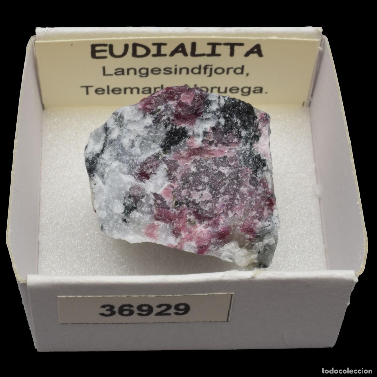 Coleccionismo de minerales: EUDIALITA (Langesundfjord, Telemark, Noruega) #36929