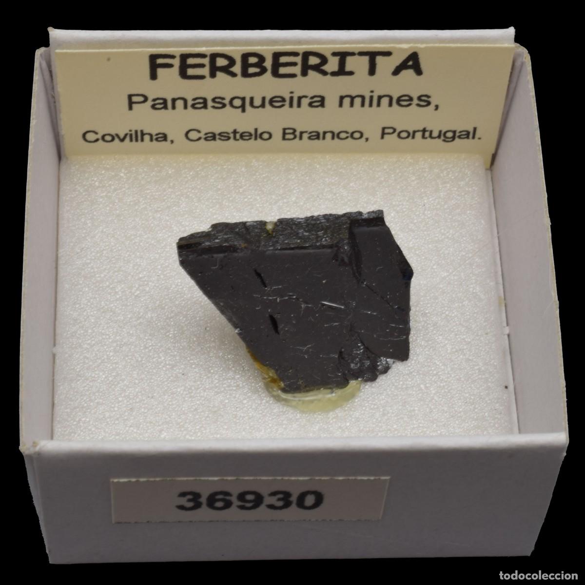 Coleccionismo de minerales: FERBERITA (Panasqueira mines, Covilha, Castelo Branco, Portugal) #36930