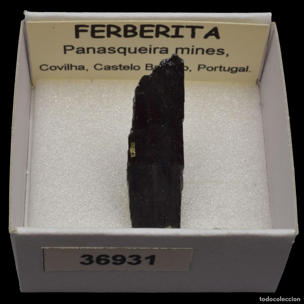 Coleccionismo de minerales: FERBERITA (Panasqueira mines, Covilha, Castelo Branco, Portugal) #36931