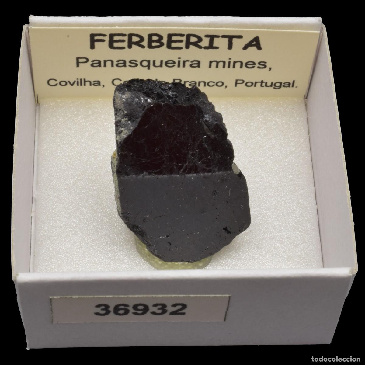 Coleccionismo de minerales: FERBERITA (Panasqueira mines, Covilha, Castelo Branco, Portugal) #36932