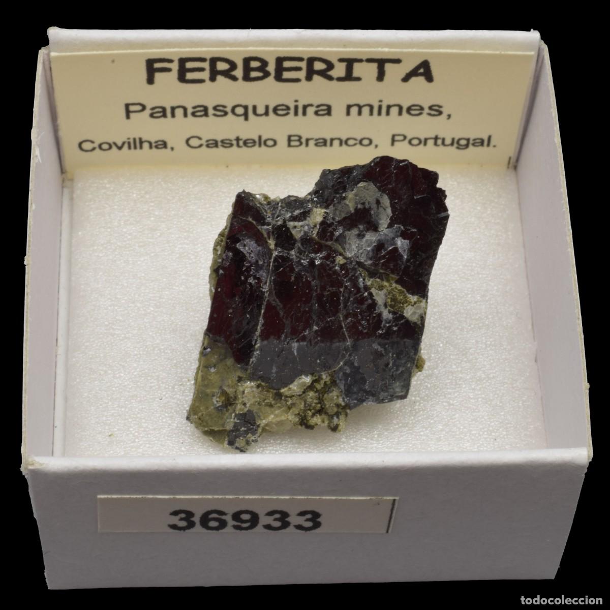 Coleccionismo de minerales: FERBERITA (Panasqueira mines, Covilha, Castelo Branco, Portugal) #36933