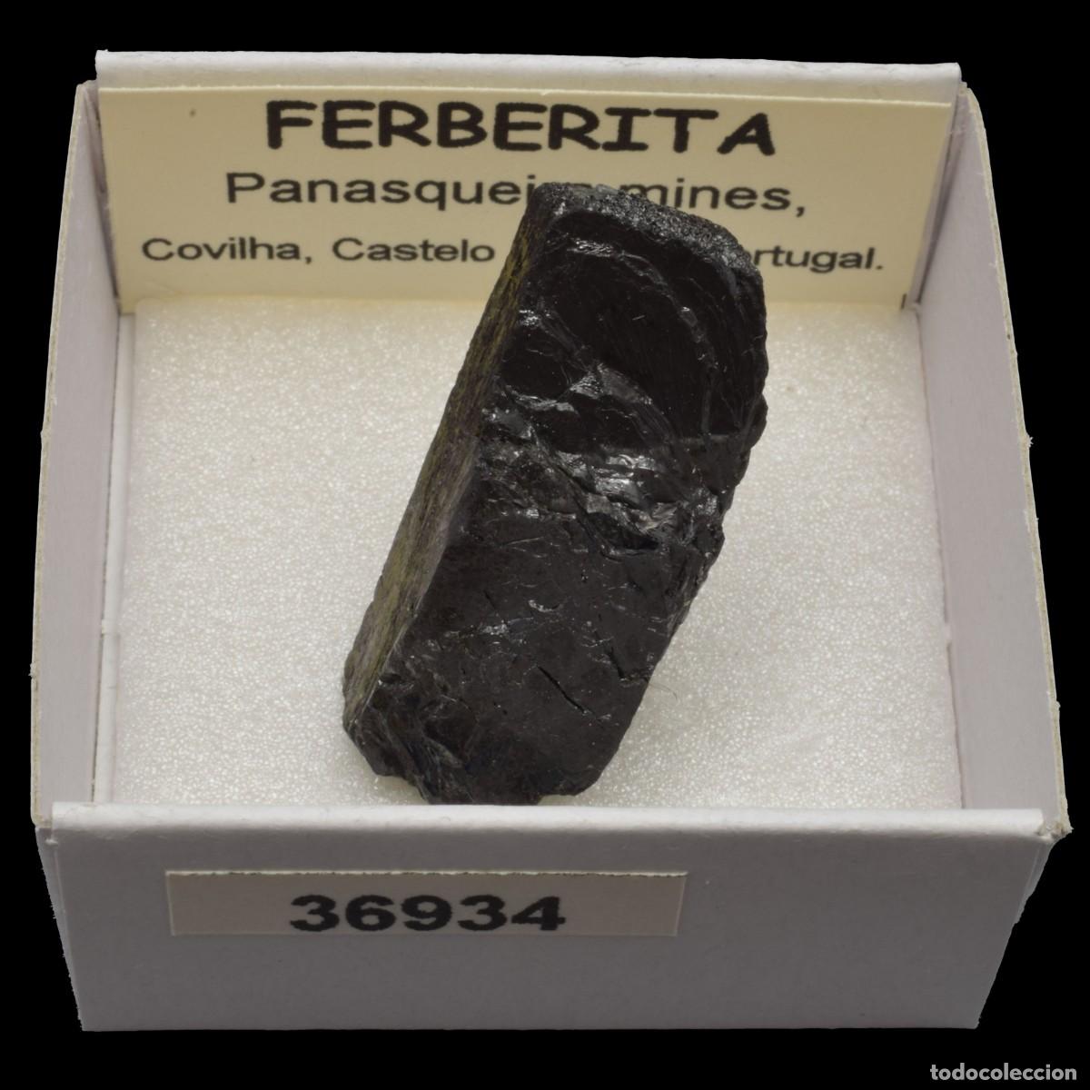 Coleccionismo de minerales: FERBERITA (Panasqueira mines, Covilha, Castelo Branco, Portugal) #36934