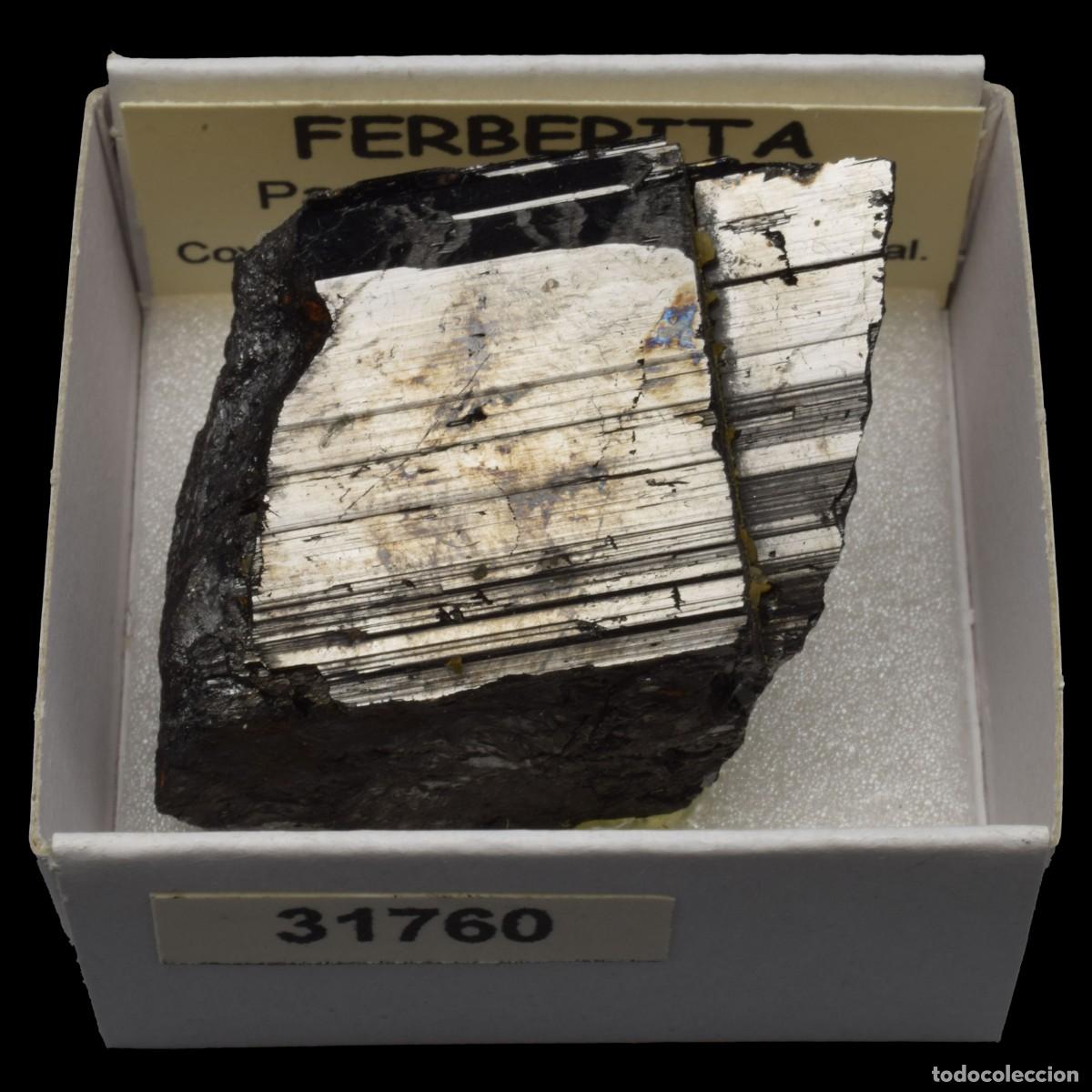 Coleccionismo de minerales: FERBERITA Cristal (Panasqueira mines, Covilha, Castelo Branco, Portugal) #31760