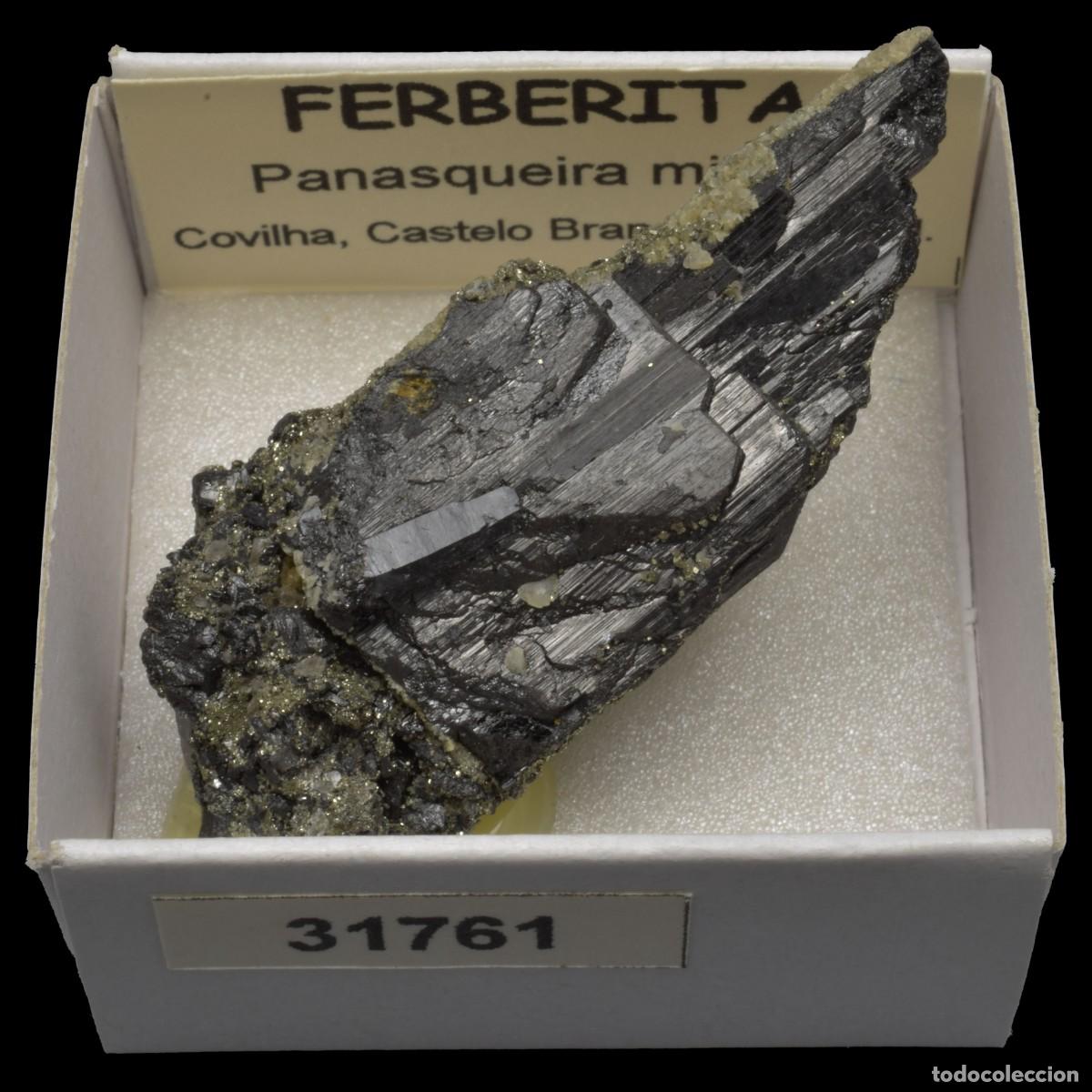 Coleccionismo de minerales: FERBERITA Cristal (Panasqueira mines, Covilha, Castelo Branco, Portugal) #31761