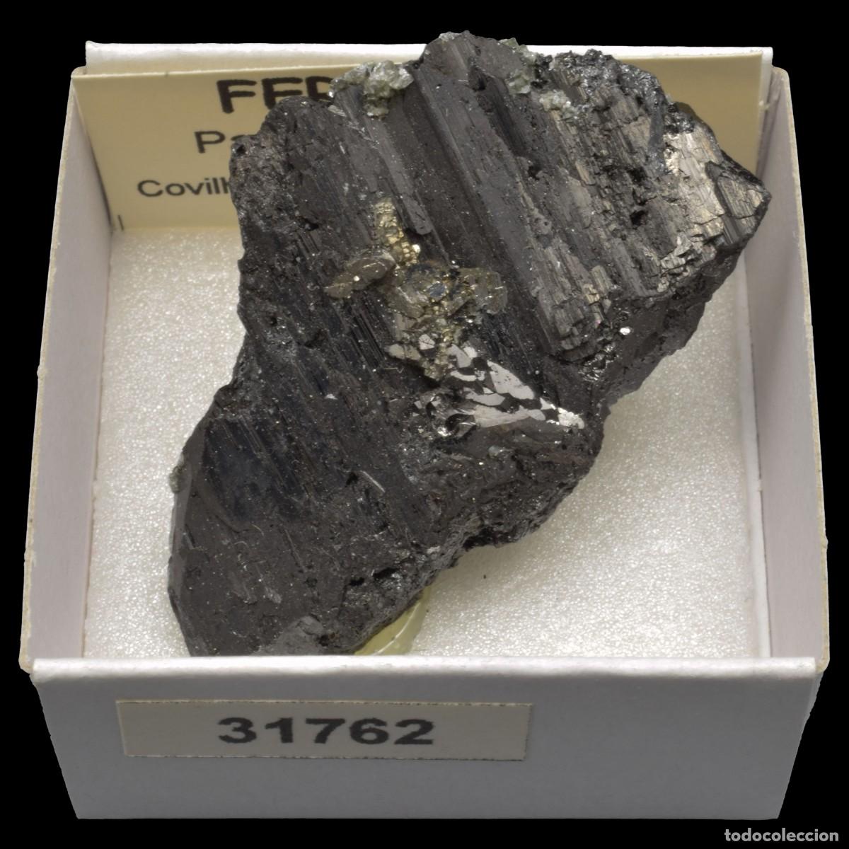 Coleccionismo de minerales: FERBERITA Cristal (Panasqueira mines, Covilha, Castelo Branco, Portugal) #31762