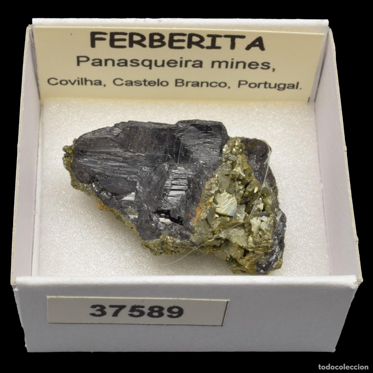 Coleccionismo de minerales: FERBERITA Cristal (Panasqueira mines, Covilha, Castelo Branco, Portugal) #37589