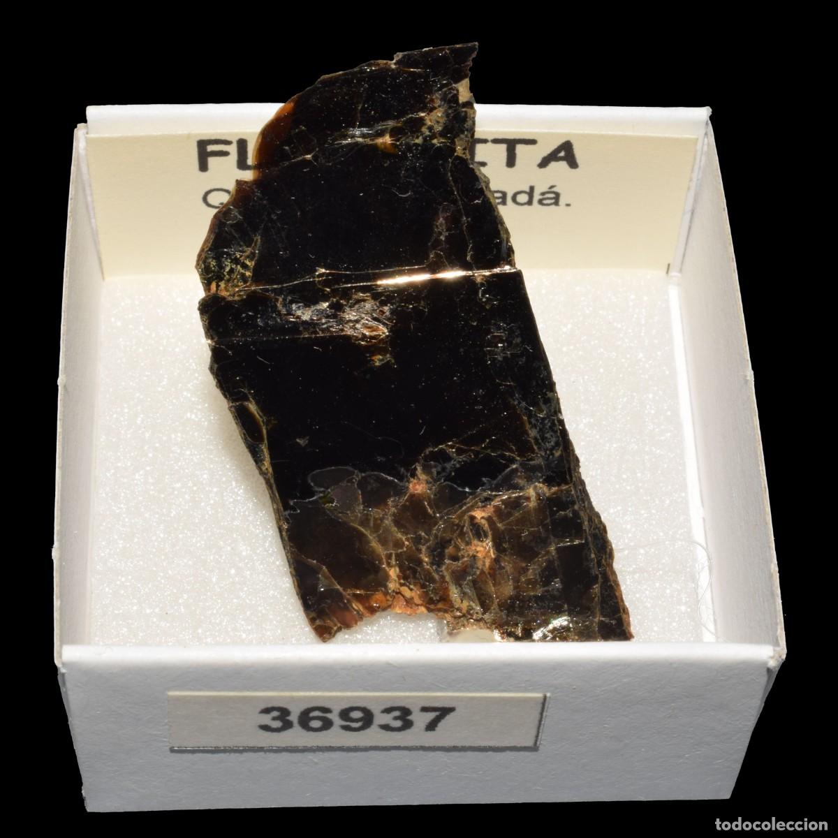Mineral collecting: FLOGOPITA (Quebec, Canada) #36937