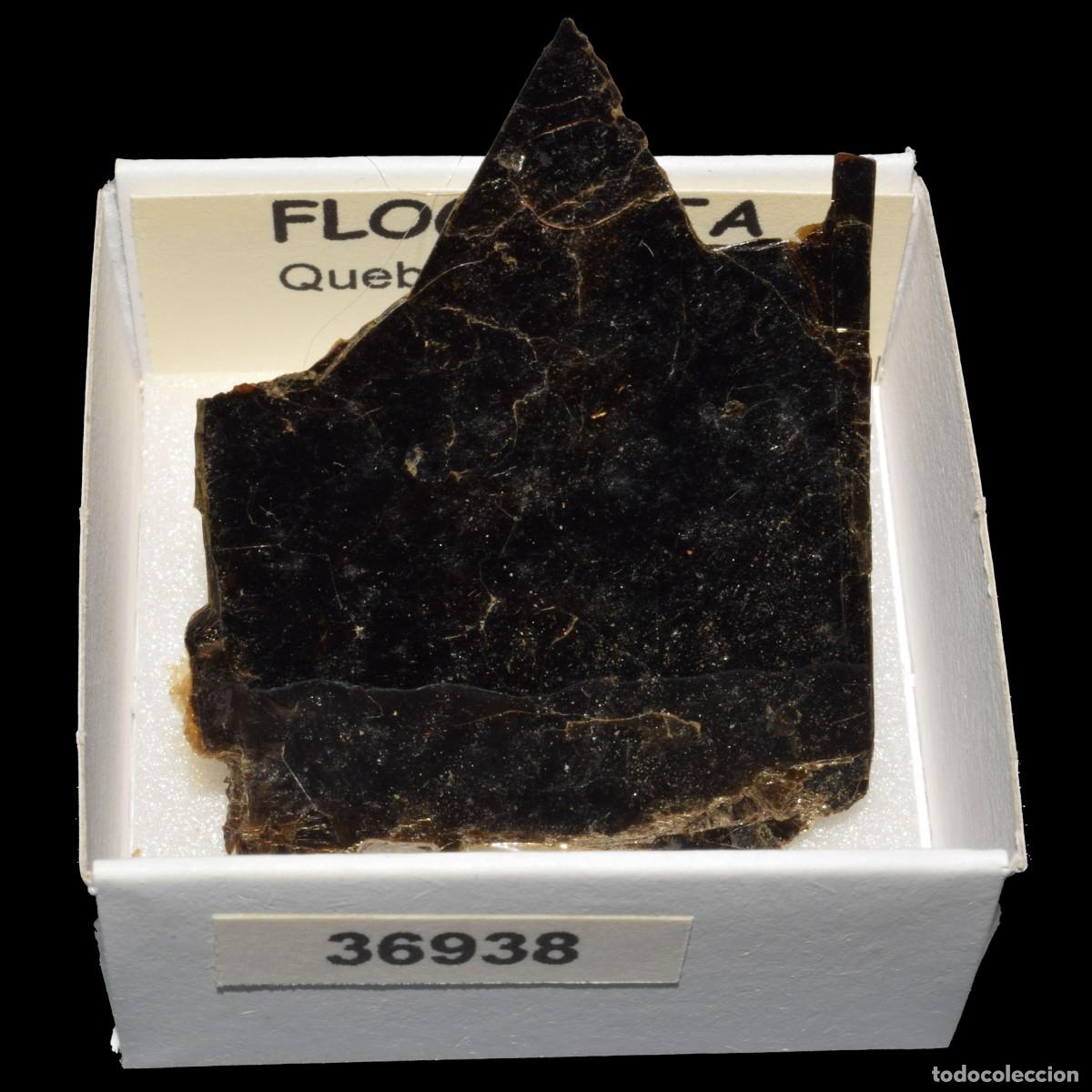 Mineral collecting: FLOGOPITA (Quebec, Canada) #36938