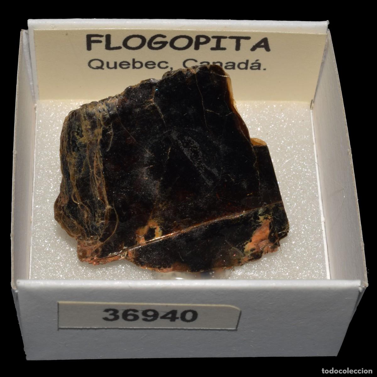 Mineral collecting: FLOGOPITA (Quebec, Canada) #36940