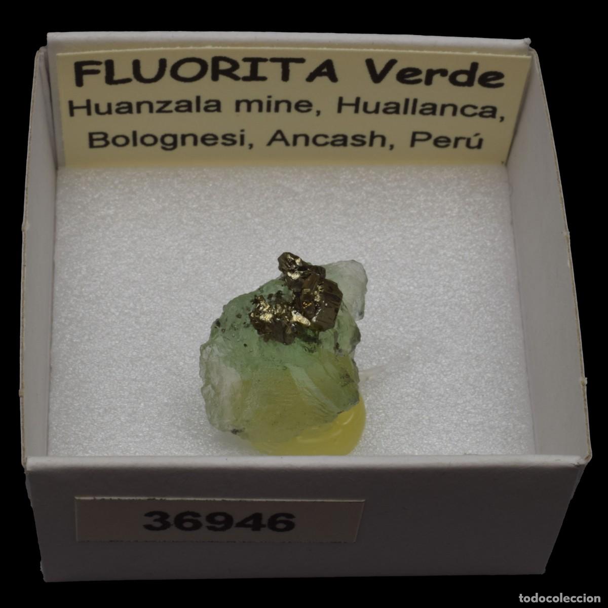 Coleccionismo de minerales: FLUORITA VERDE (Huanzala mine, Huallanca, Bolognesi, Ancash, Peru) #36946