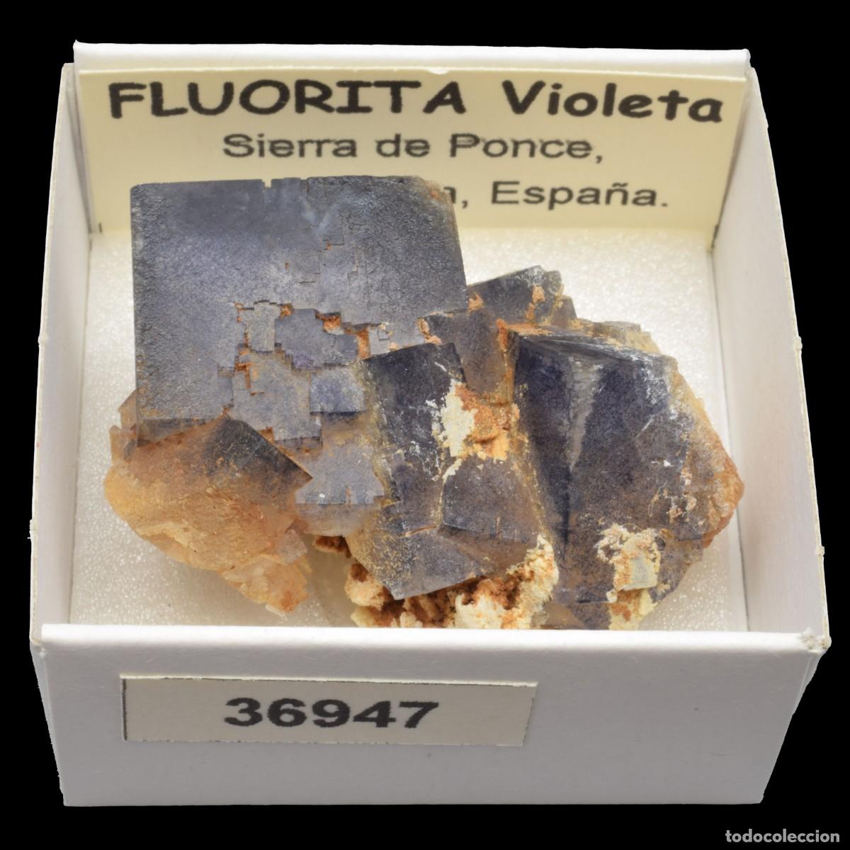 Coleccionismo de minerales: FLUORITA Violeta xx (Sierra de Ponce, Lorca, Murcia, Espa&ntilde;a) #36947