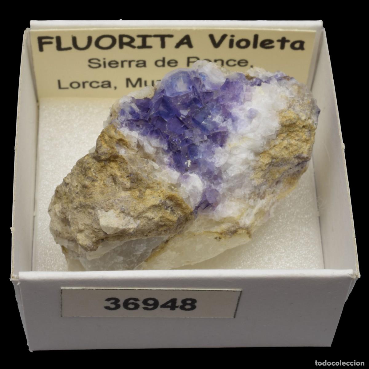 Coleccionismo de minerales: FLUORITA Violeta xx (Sierra de Ponce, Lorca, Murcia, Espa&ntilde;a) #36948