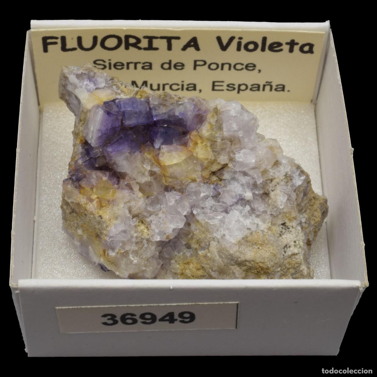 Coleccionismo de minerales: FLUORITA Violeta xx (Sierra de Ponce, Lorca, Murcia, Espa&ntilde;a) #36949