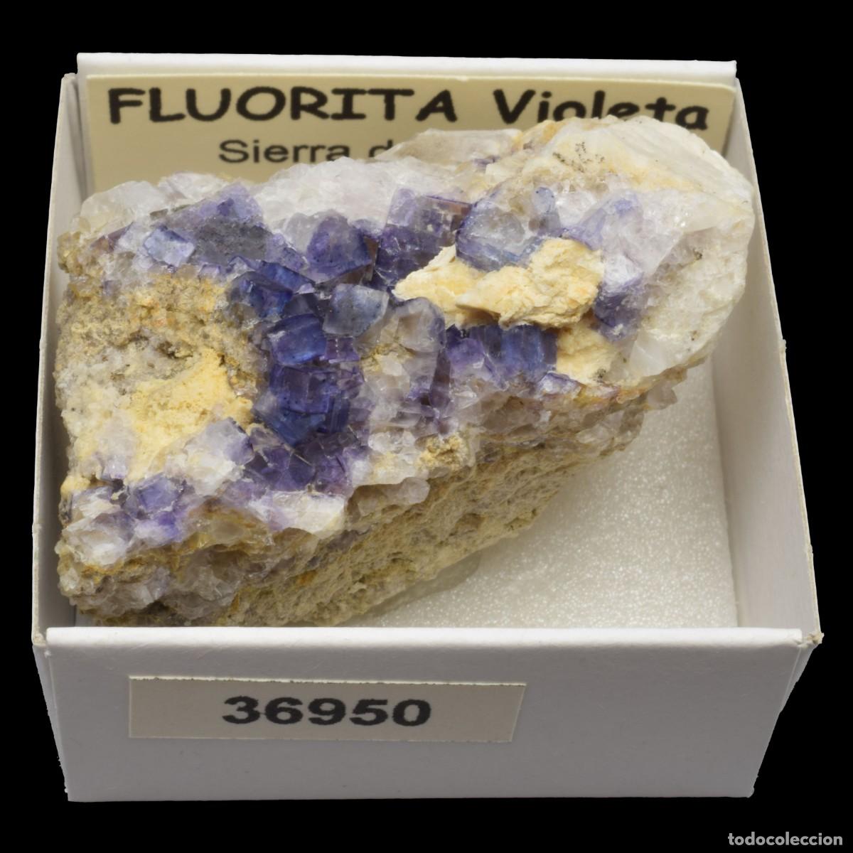 Coleccionismo de minerales: FLUORITA Violeta xx (Sierra de Ponce, Lorca, Murcia, Espa&ntilde;a) #36950