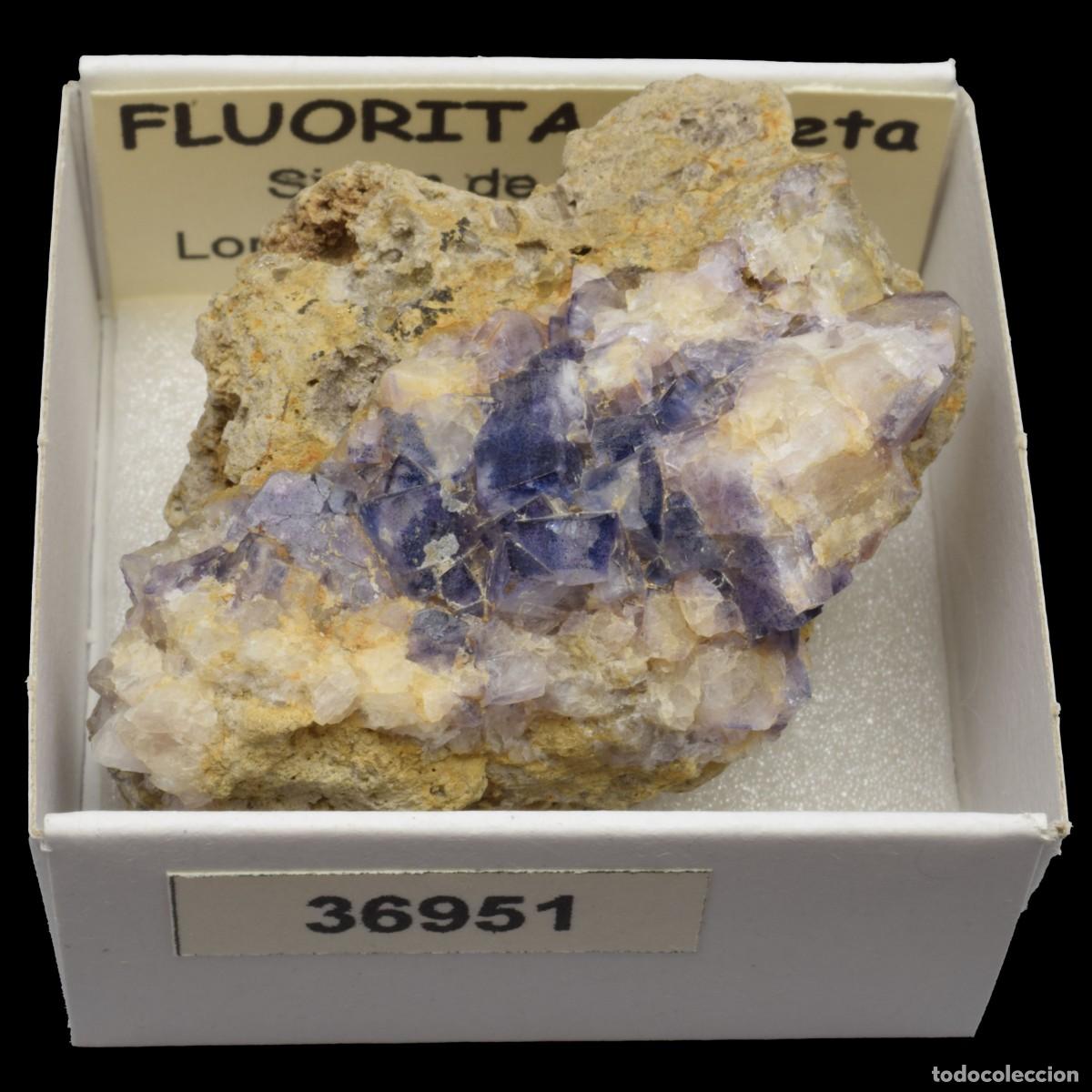 Coleccionismo de minerales: FLUORITA Violeta xx (Sierra de Ponce, Lorca, Murcia, Espa&ntilde;a) #36951