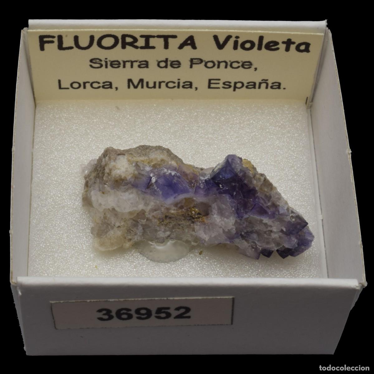 Coleccionismo de minerales: FLUORITA Violeta xx (Sierra de Ponce, Lorca, Murcia, Espa&ntilde;a) #36952