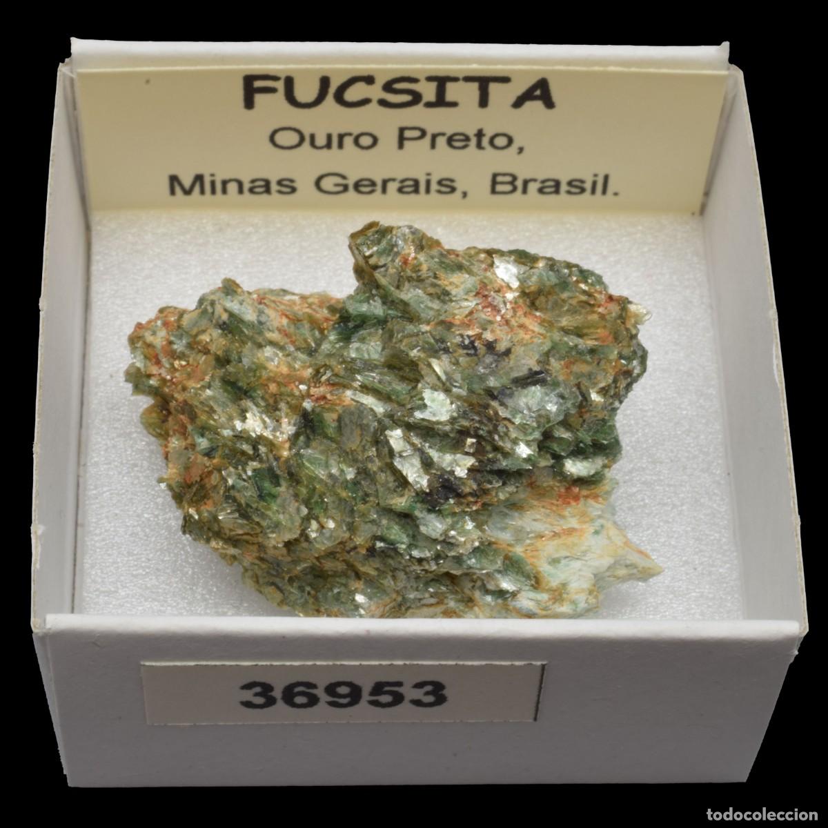 Coleccionismo de minerales: FUCSITA (Ouro Preto, Minas Gerais, Brasil) #36953